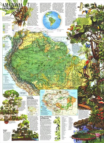 Mapy National Geographic. 539 map. Wysoka jakość - Amazonia - A World Resource at Risk 1992.jpg