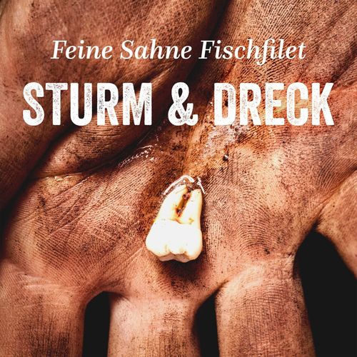 Feine Sahne Fischfilet - Sturm  Dreck - front.jpg
