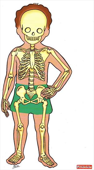 obrazki-ciało ludzkie dla dzieci - 42.JPG